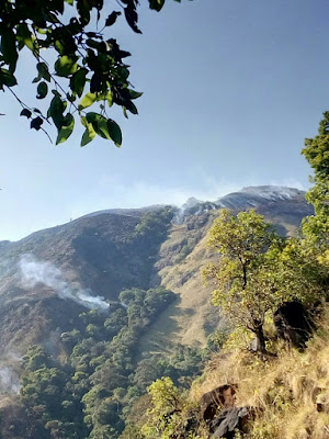 smoke coming due to forest fire in Western Ghats  