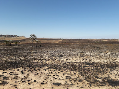 terrenos-quemados-para-producir-pastos-en-isalo-madagascar
