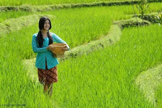 YANG PERTAMA KALI - Lirik Lagu Indonesia (Pance Pondaag) - Redilirik