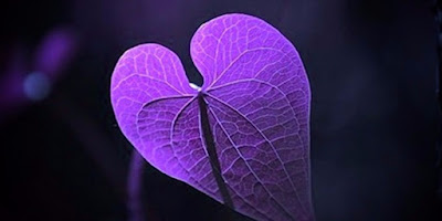 Alzheimer's Reading Room Purple Heart
