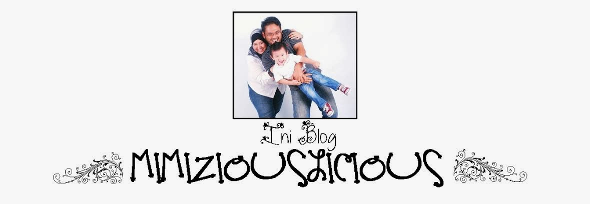 INI BLOG MIMIZIOUSLICIOUS