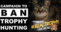 #BanTrophyHunting