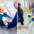 25 Heartwarming Pictures Of Dogs That Teach Us What Unconditional Love Truly Means