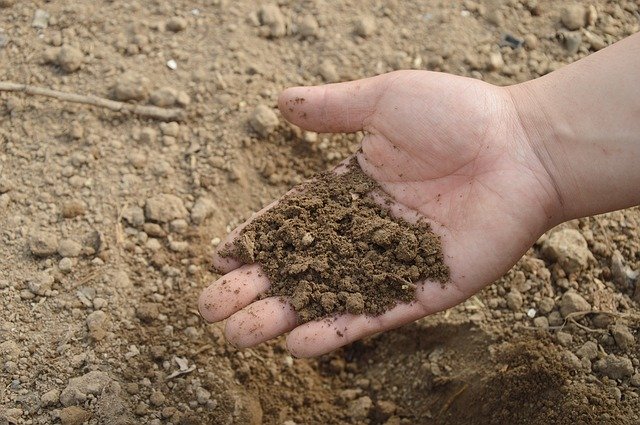 World Soil Day Quotes 2019