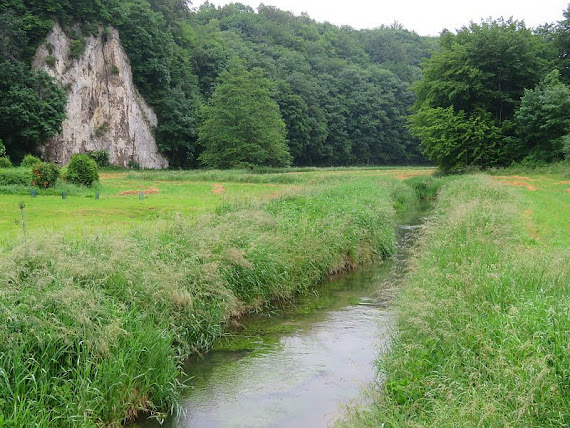 Prądnik pradnik