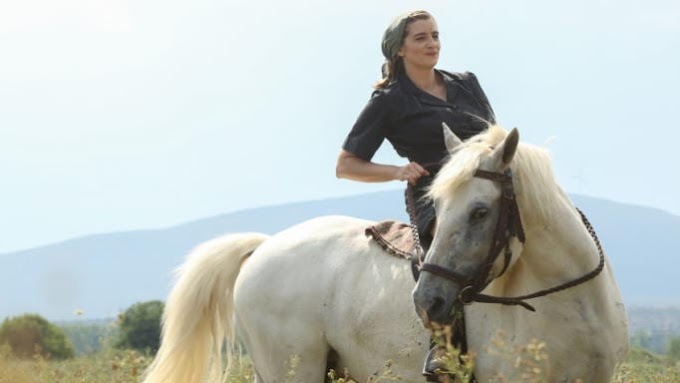 Άγριες Μέλισσες – Εξελίξεις: Η είδηση που θα αλλάξει για πάντα τις ζωές όλων και το σκληρό χτύπημα της μοίρας