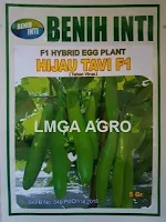 Benih, Terong, Hijau Tavi,Benih Inti, Lmga Agro, Tahan Virus, Anti virus, Harga murah, Harga diskon, Harga promo