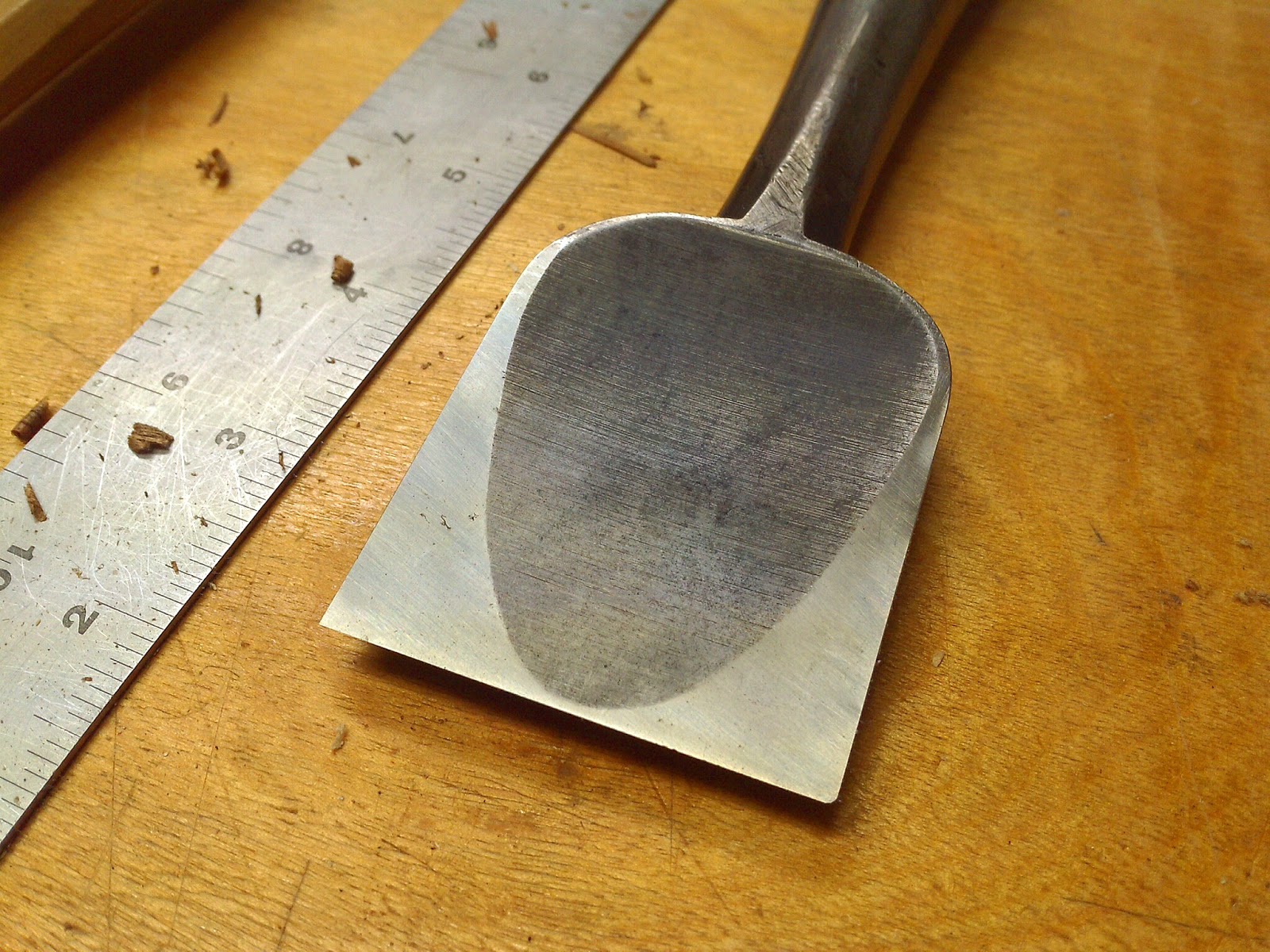 My peculiar nature Chisel rehab/therapy