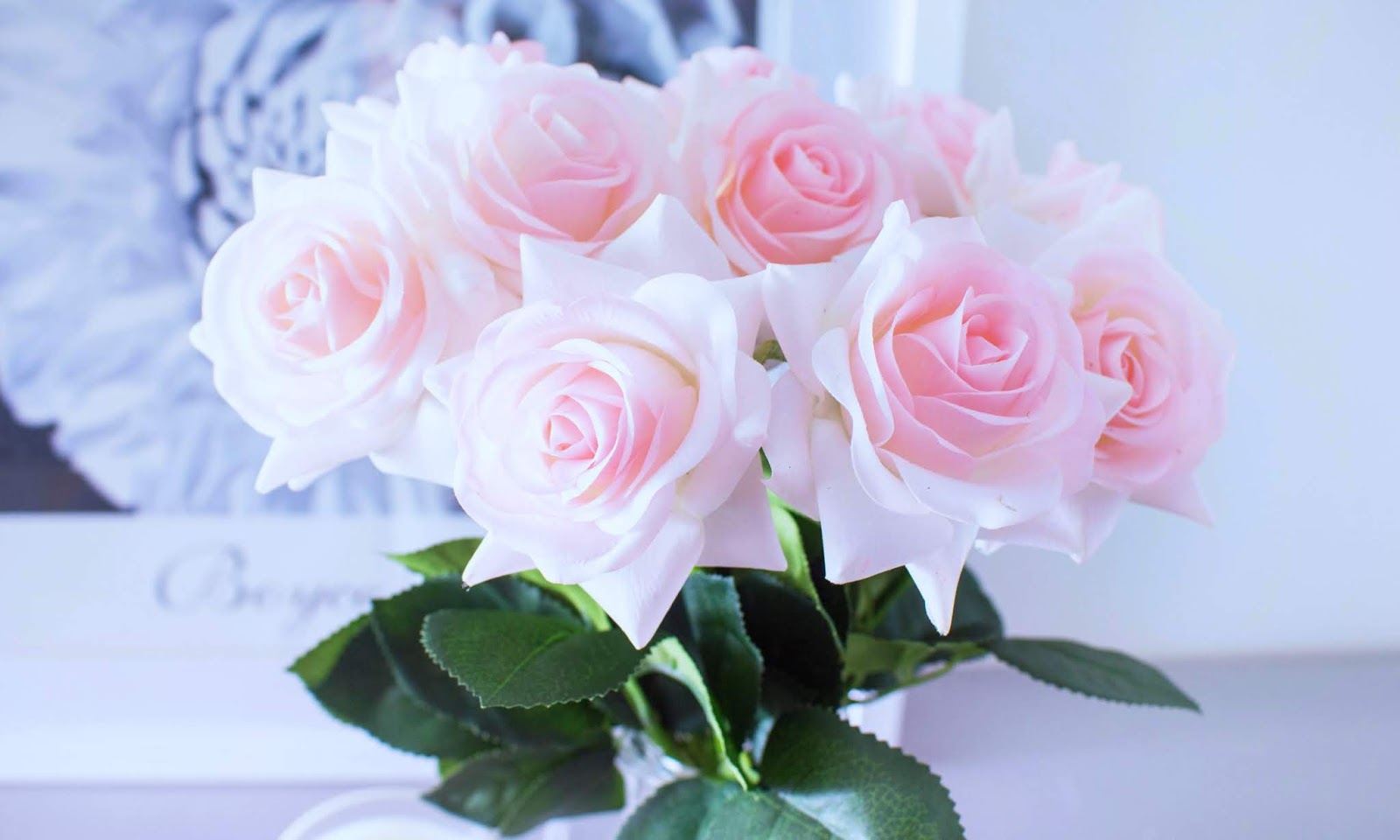 Pink Rose HD Wallpapers [30+]