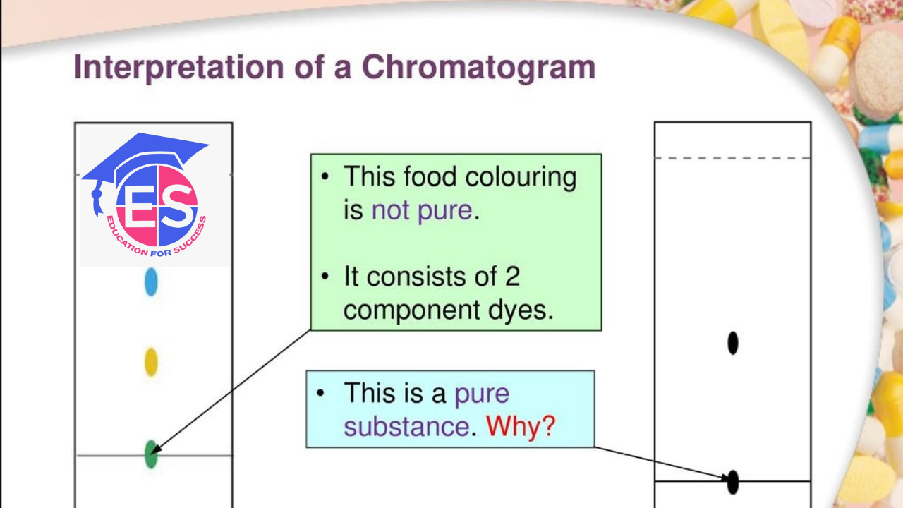 Speech on purity image