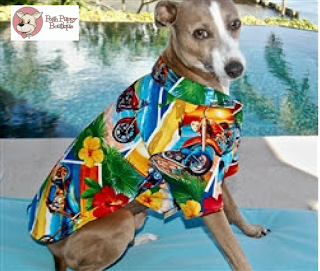 POSTCARD PRINT HAWAIIAN DOG SHIRT POSTCARD PRINT HAWAIIAN DOG SHIRT