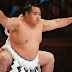 Japanese sumo wrestler, Shobushi dies of Coronavirus at 28