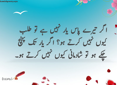 Rumi Quotes In Urdu