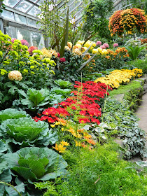 Allan Gardens Conservatory 2014 Fall Chrysanthemum Show by garden muses-not another Toronto gardening blog 