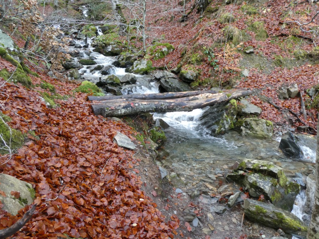 PASEOS POR LAS MONTAÑAS: 356 - Pozo Negro de Otero (Sierra de la