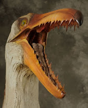 pelagornis bird flying largest chilensis history