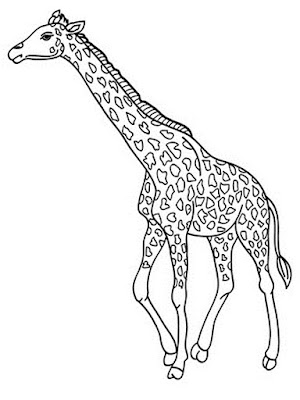 Desenhos de girafa