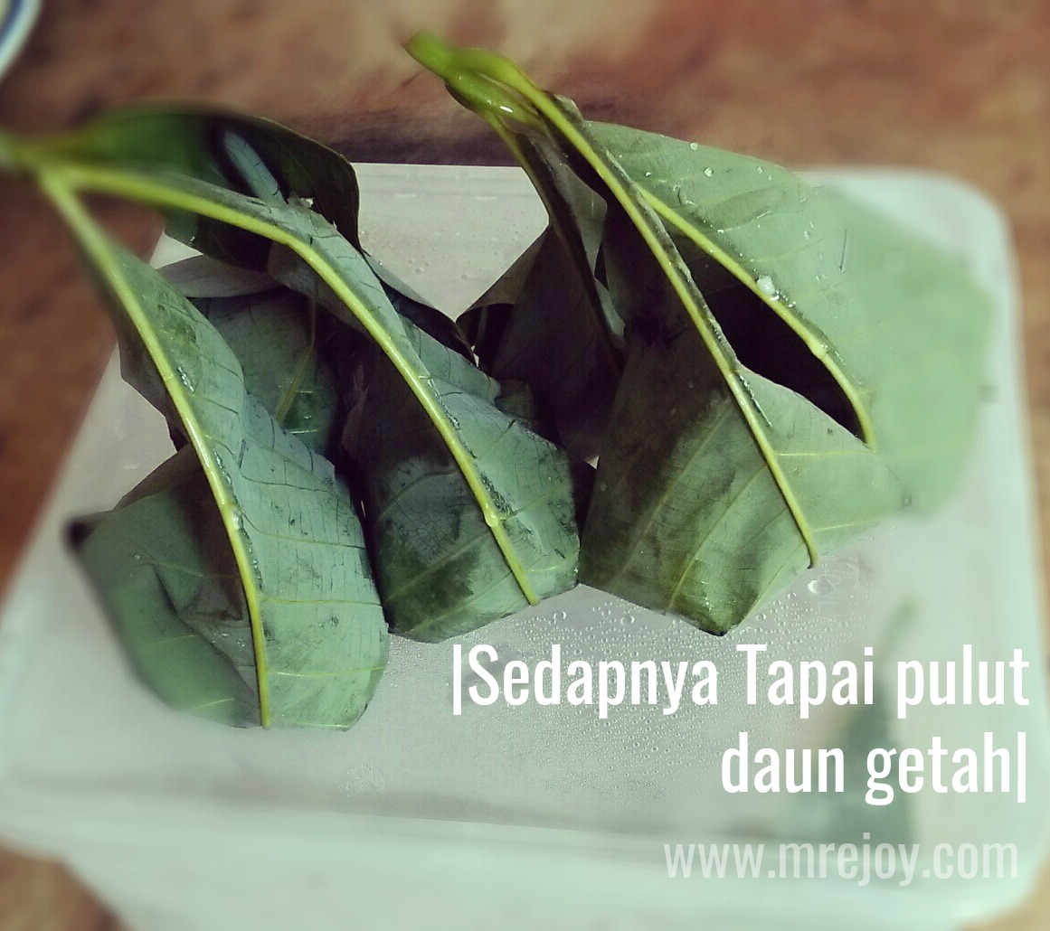 Sedapnya Tapai Pulut Daun Getah Mrejoy