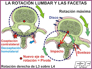 Rotación lumbar