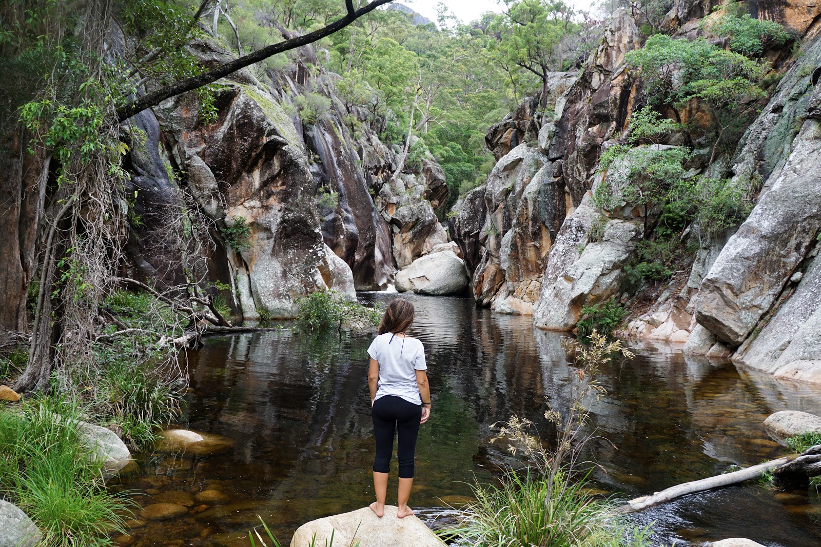 Lower Portals (Mount Barney National Park) The Long Way's Better