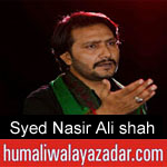 https://humaliwalaazadar.blogspot.com/2019/08/syed-nasir-ali-shah-noha-2020.html