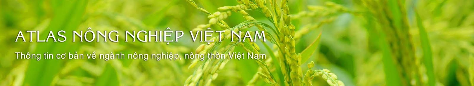 Atlas Việt Nam