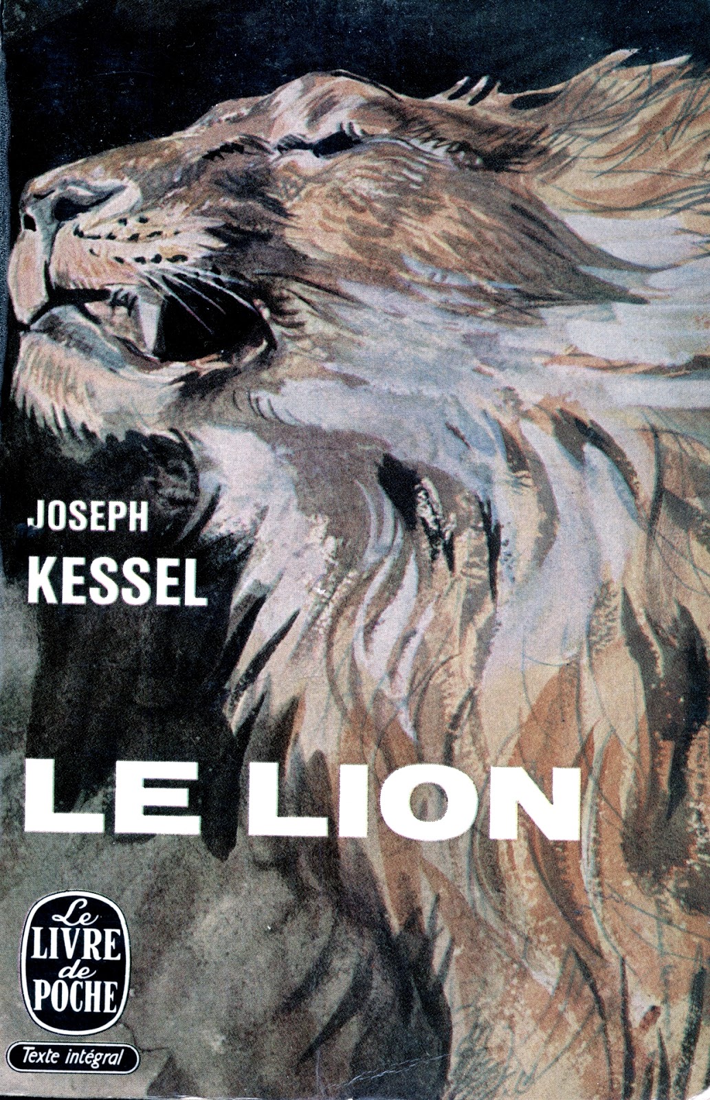le lion kessel analyse le lion kessel analyse