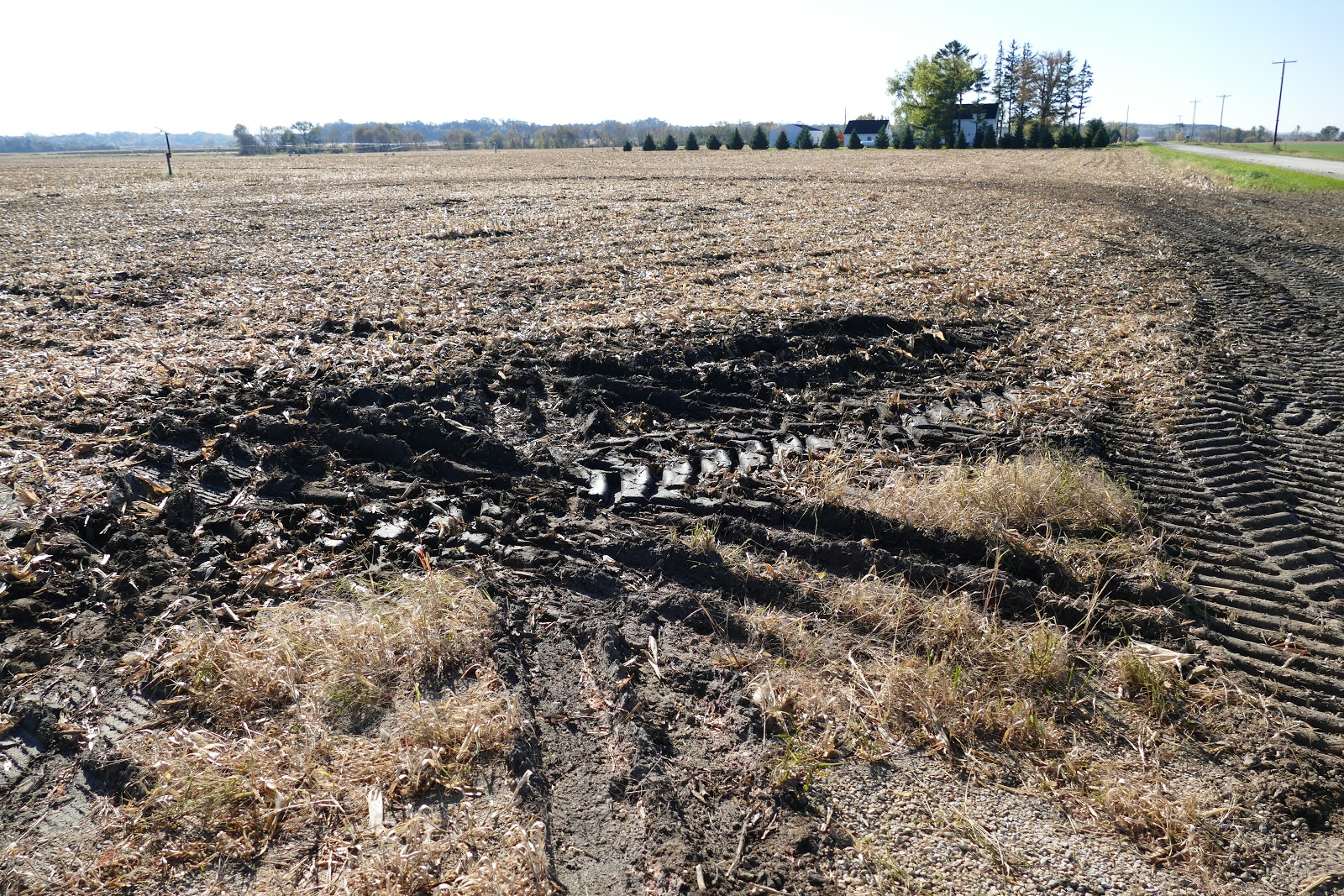 How soil compaction impacts fertilizer decisions