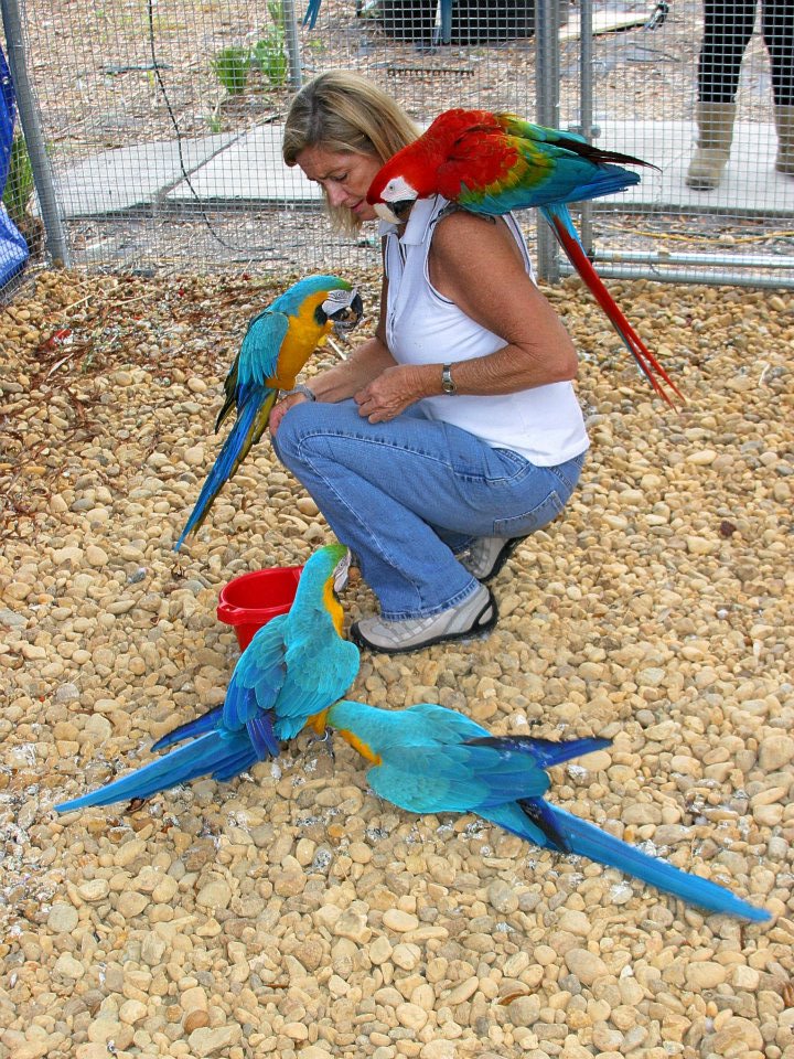 Birds of Paradise Sanctuary & Rescue Our Mission
