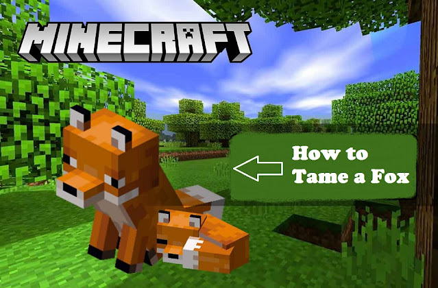 Minecraft: How to Tame a Fox