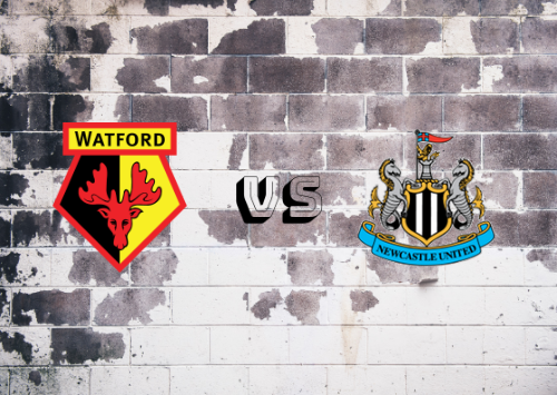 Watford vs Newcastle United  Resumen