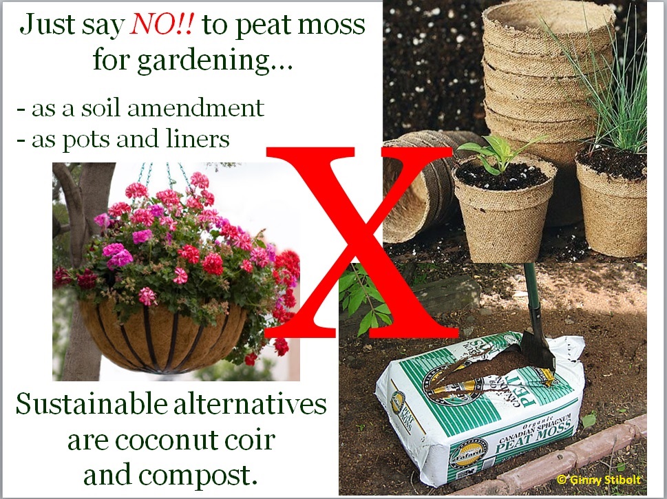 Peat Moss May Be Good For Plants, But Gardeners Should Avoid It
