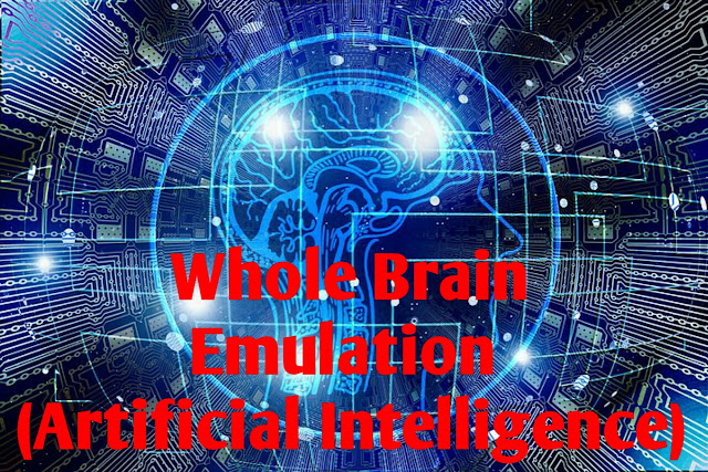 Whole Brain Emulation (Artificial Intelligence)