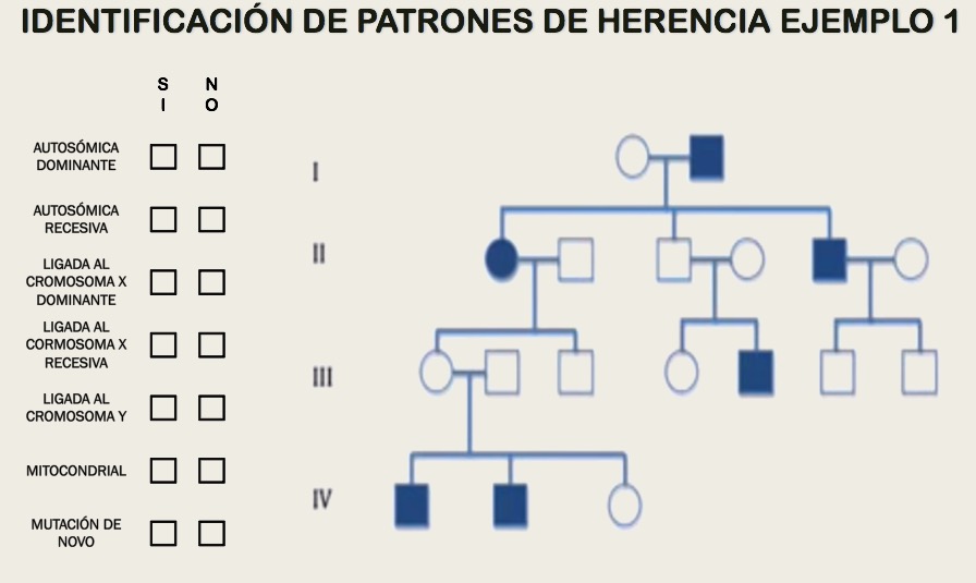 APRENDIENDO SOBRE BIOLOGÍA Y GEOLOGÍA PATRONES DE HERENCIA