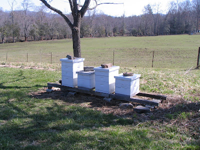 beehives four beehives
