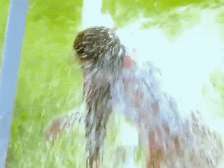 [Image: PALLAVI2.gif]