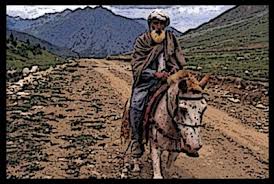 Kisah Sahabat Abdullah (Yang di juluki Himar “keledai”) Yang Membuat Nabi Muhammad SAW Tertawa