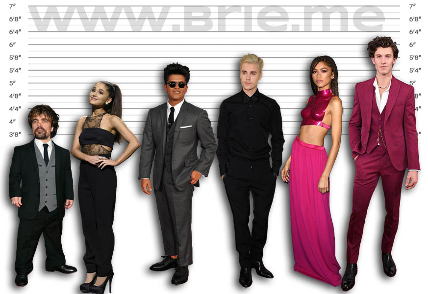 Shawn Mendes Height Brie