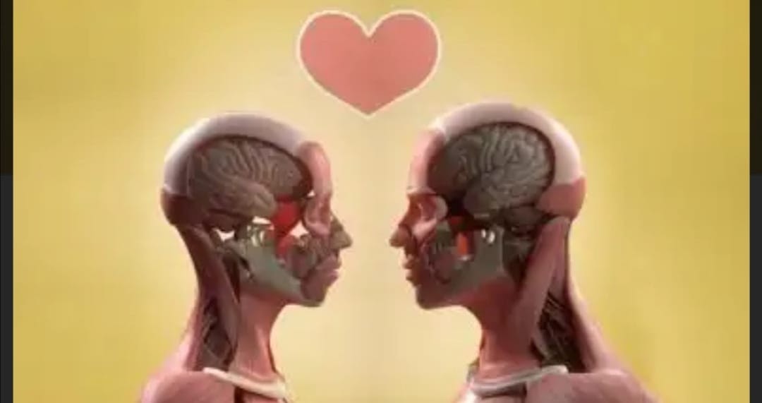 astrolojide evlilik gostergeleri kadin haritasi