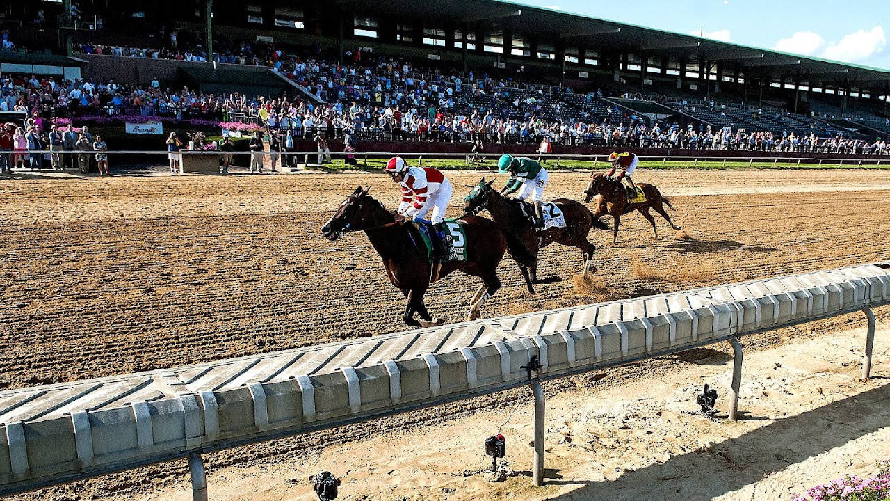 Delaware Park Horse Racing Schedule Horse Choices