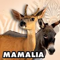 Pengertian Hewan Mamalia E Jurnal