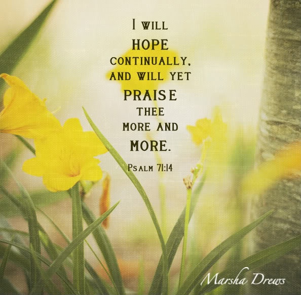 Seth and Amy's Ministry and Life Blog : Hope Continually, Praise More