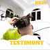 Music : Buju - Testimony