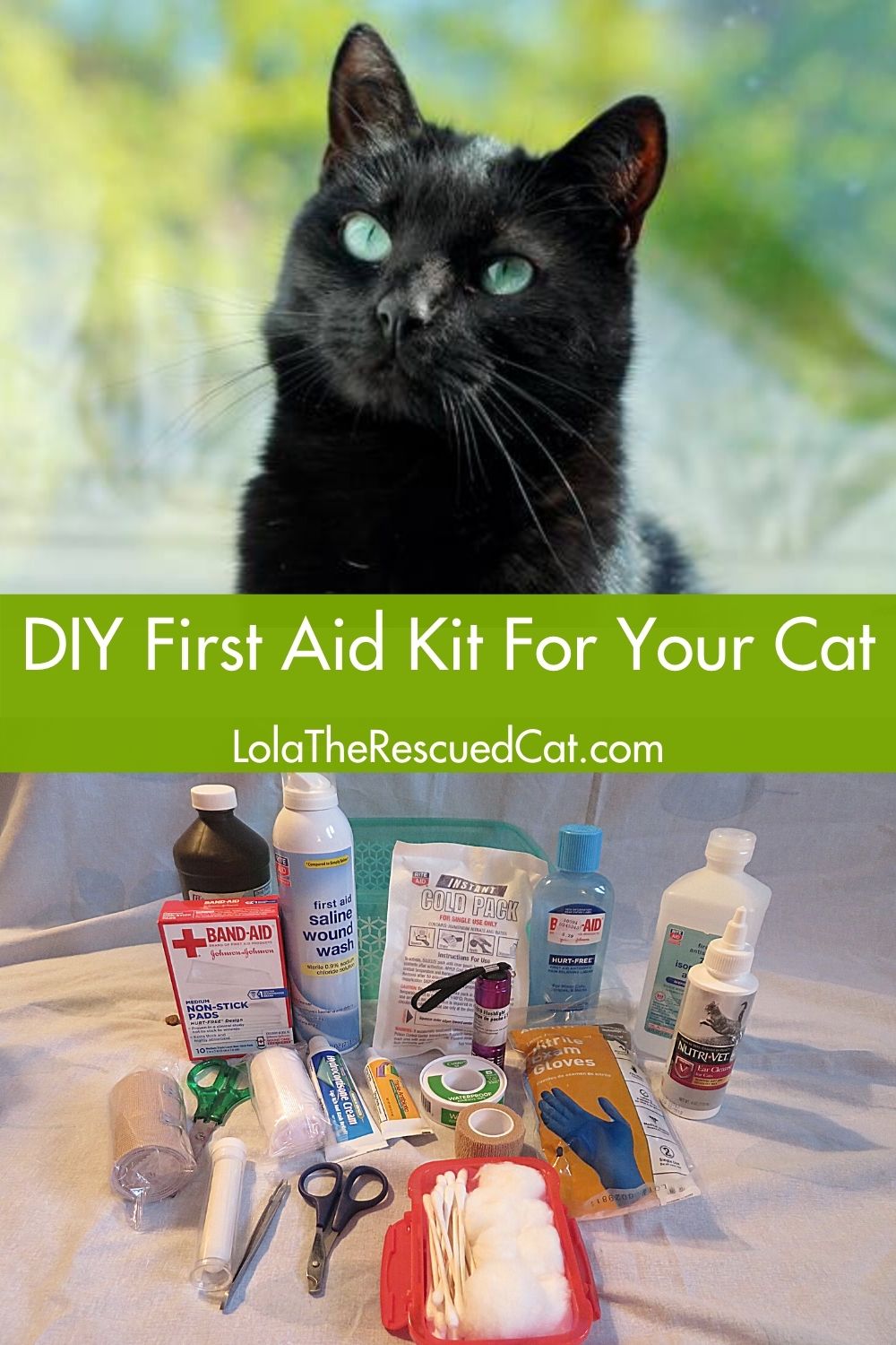 DIY First Aid Kit for Your Cat Lola The Rescued Cat