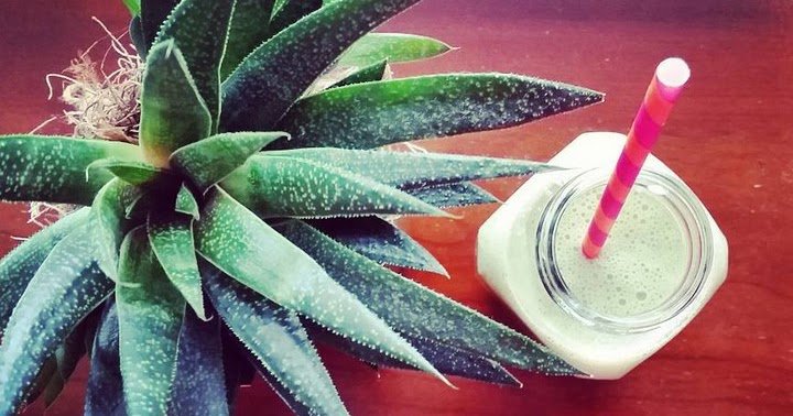 How To Lose Weight Successfully With Aloe Vera