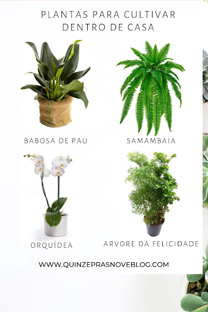 Decoração com plantas