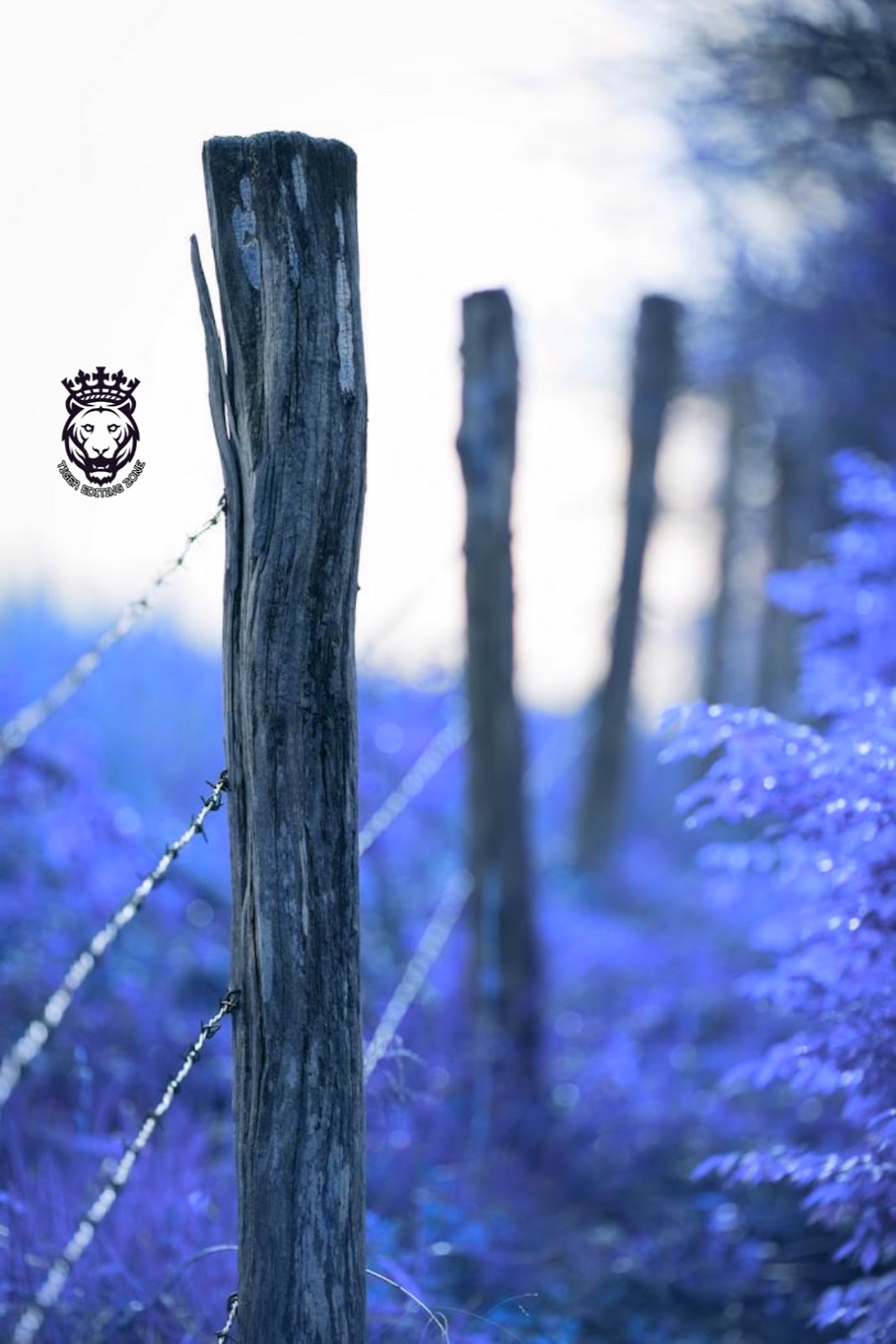 500+ Blue Background HD for Editing Moody Blue Photo Editing