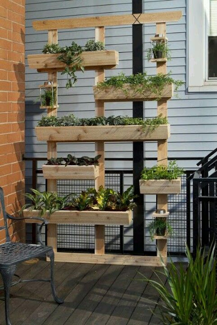 Herb Garden