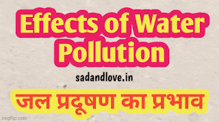 Effects of water pollution in about 300-400 words in Hindi (जल प्रदूषण का प्रभाव लगभग 300-500 शब्दों हिंदी में)