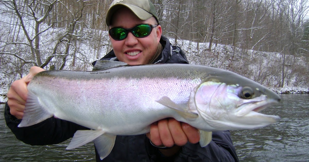 Muskegon River Steelhead Muskegon River Winter Steelhead Betts Guide